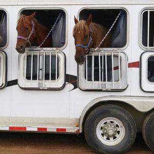 BIENESTAR ANIMAL EN EL TRANSPORTE
